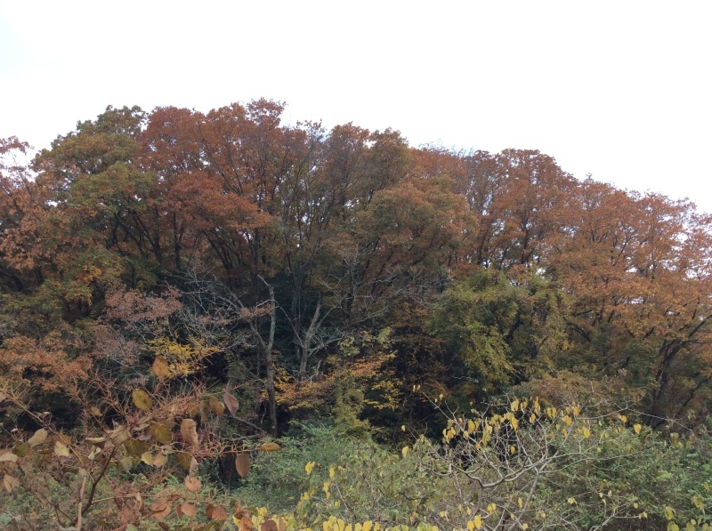 b0220002_21440655.jpg