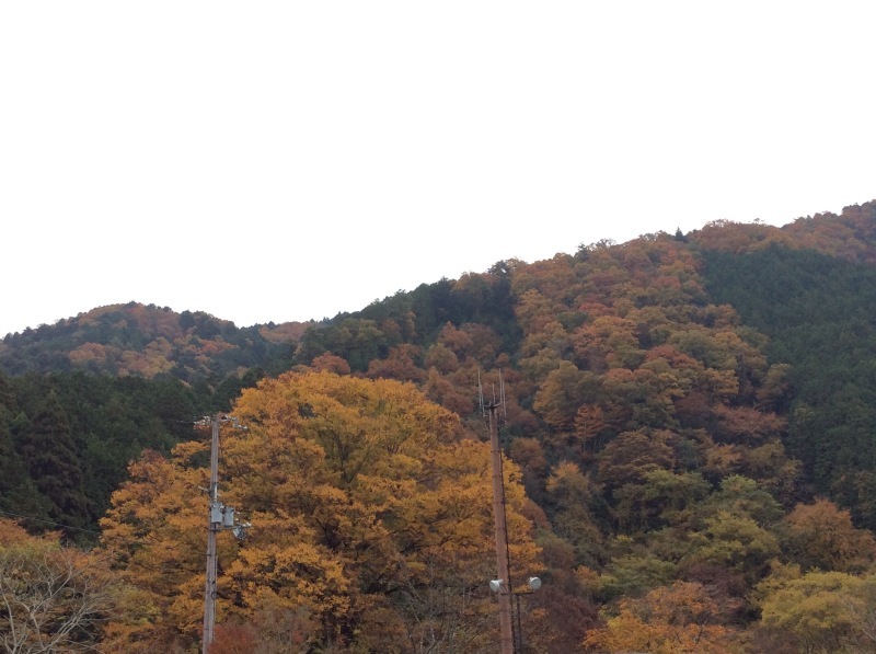 b0220002_21443221.jpg