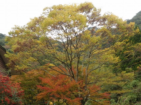 f0187402_18303438.jpg