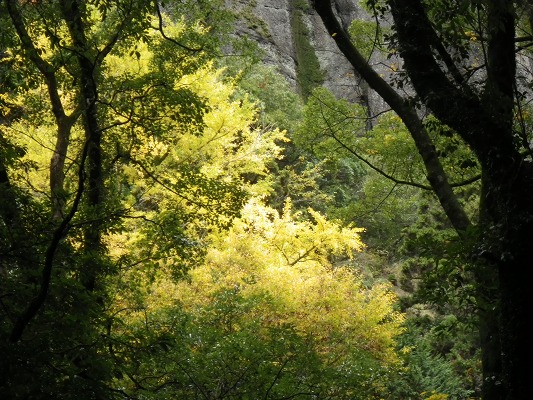 f0187402_18312810.jpg