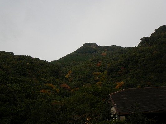 f0187402_18314644.jpg