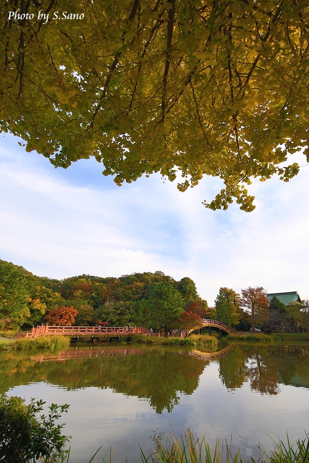 称名寺の「三つ鱗」_b0348205_16122668.jpg