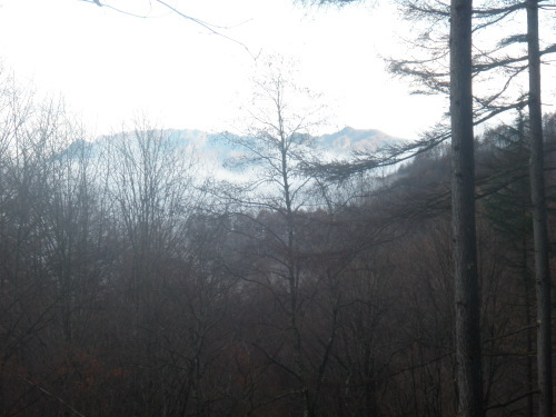 d0342206_19123086.jpg