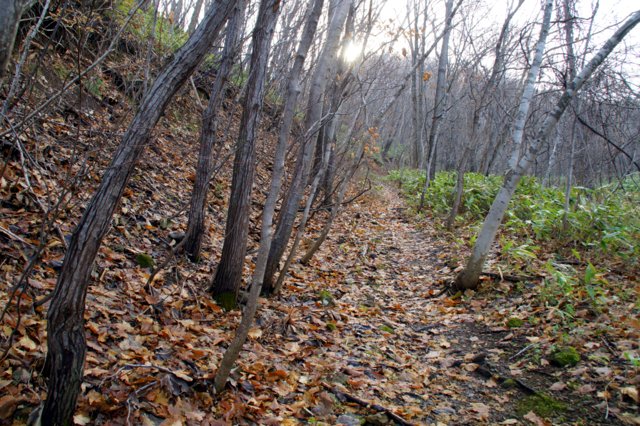 a0345007_1552760.jpg