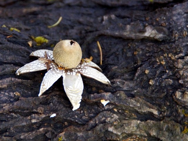 a0345007_15532499.jpg