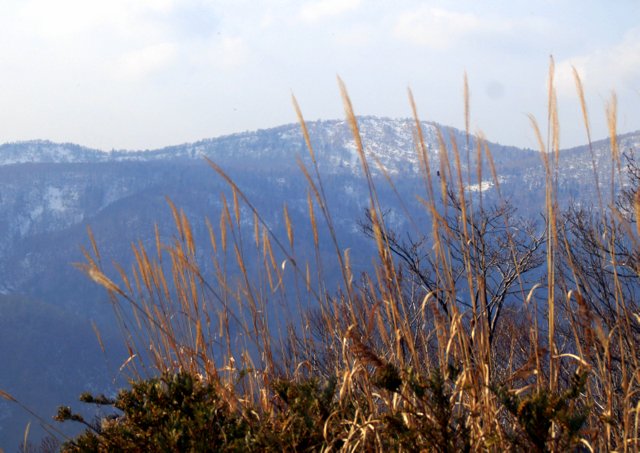a0345007_15553362.jpg