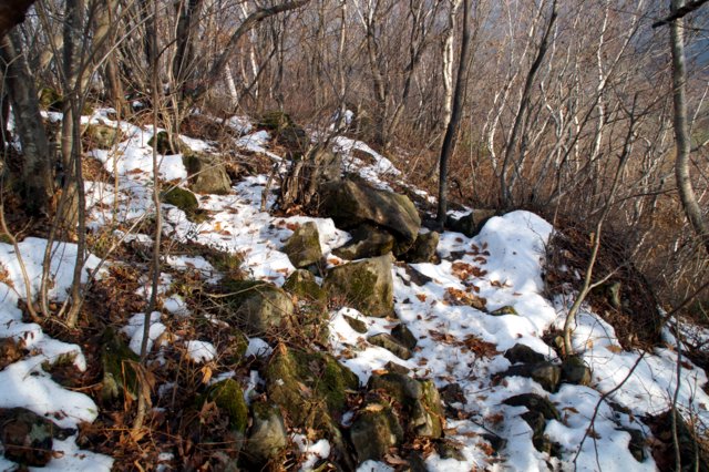 a0345007_15563630.jpg
