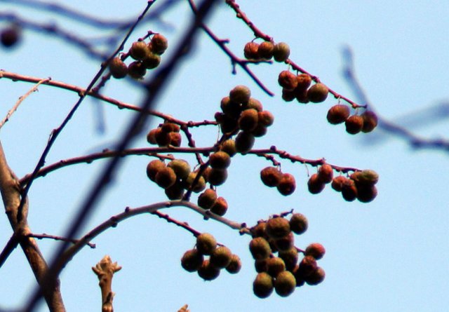 a0345007_1682529.jpg