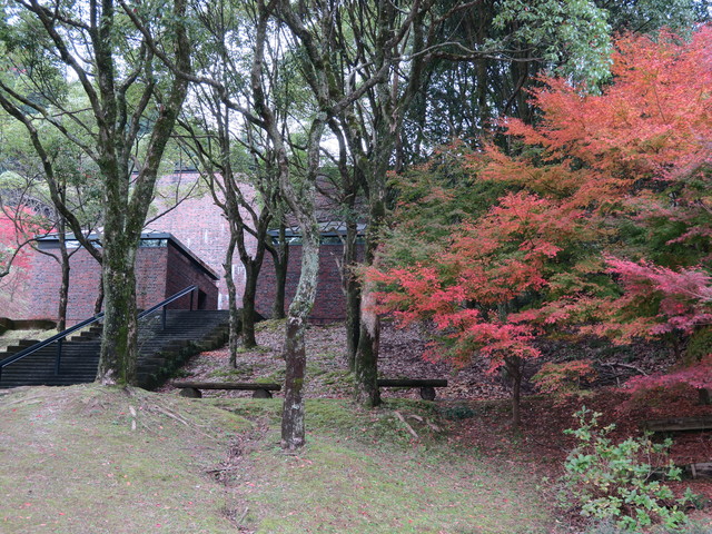 a0210108_2355286.jpg
