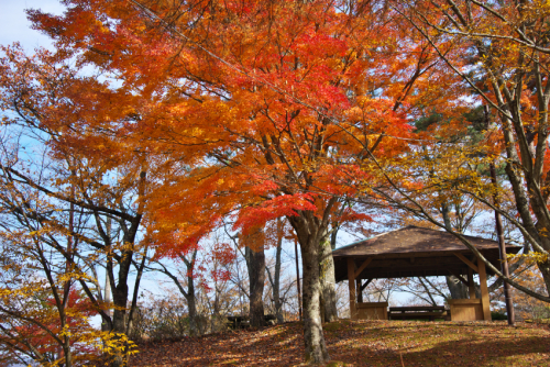 山中湖「夕焼けの渚・紅葉まつり」1_a0263109_17042234.jpg