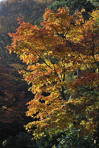 a0278809_11051246.jpg