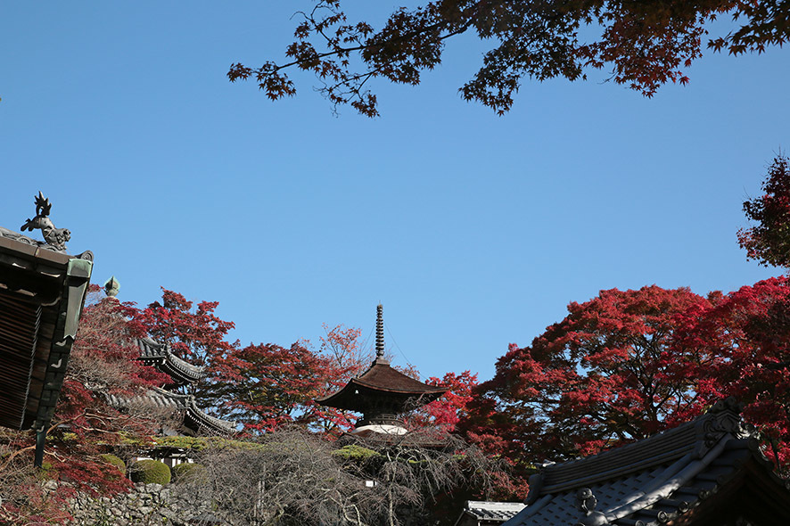 b0315912_21413450.jpg