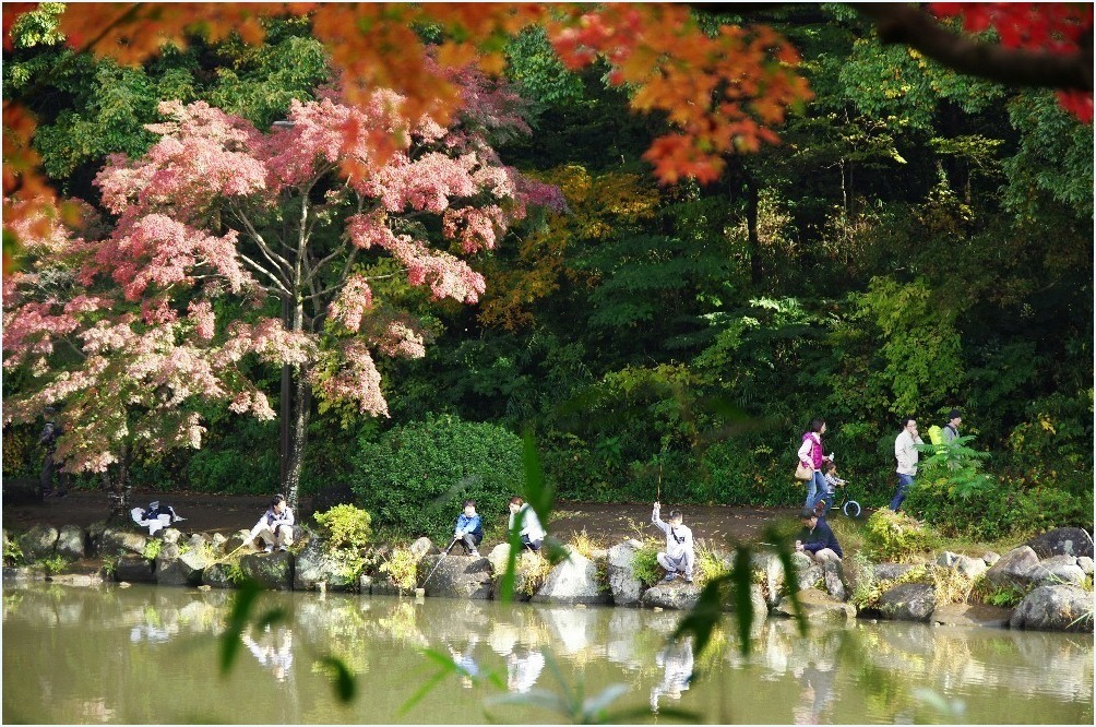 いつもの・・・_c0352813_20091533.jpg