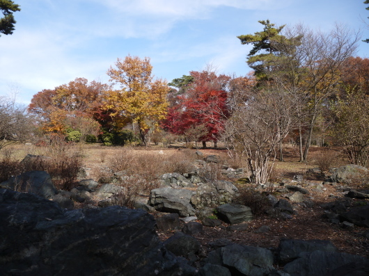 e0205713_21150339.jpg