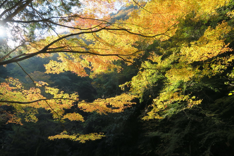 おやじ登山隊と行く♪三重と奈良の山旅（１日目）_d0103314_23192588.jpg