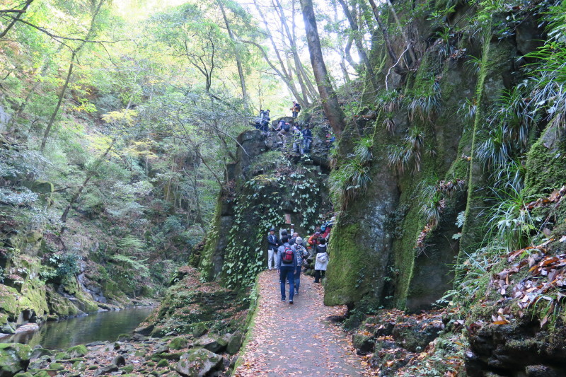 おやじ登山隊と行く♪三重と奈良の山旅（１日目）_d0103314_23243760.jpg