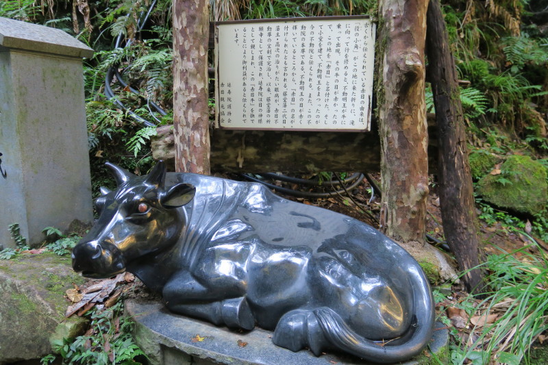 おやじ登山隊と行く♪三重と奈良の山旅（１日目）_d0103314_23293229.jpg