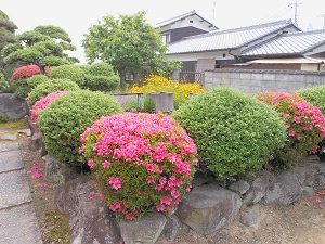 a0202528_21294130.jpg