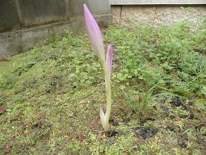 a0202528_2136645.jpg