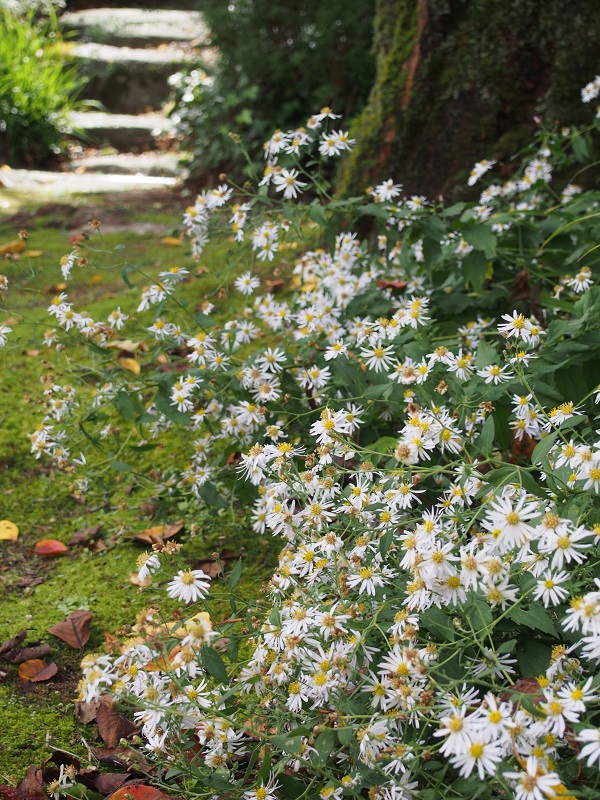b0368629_826595.jpg