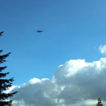 c0220830_20184486.jpg
