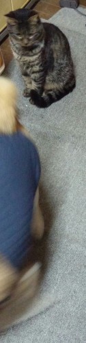 e0338831_21054320.jpg