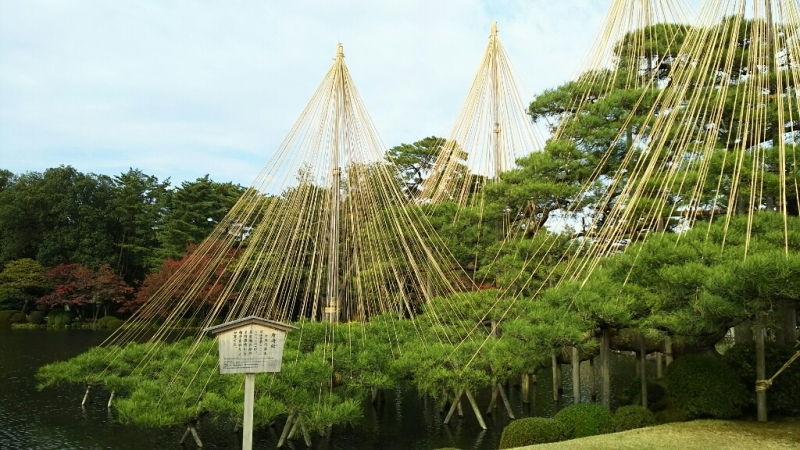 e0305834_11080234.jpg