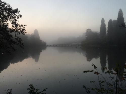 f0327534_10010183.jpg