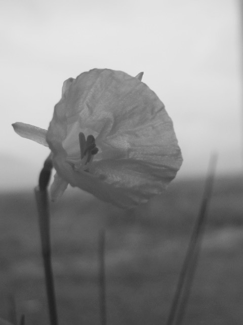 a0329935_18210085.jpeg