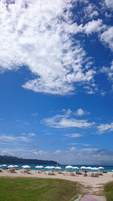 d0344038_19112209.jpg