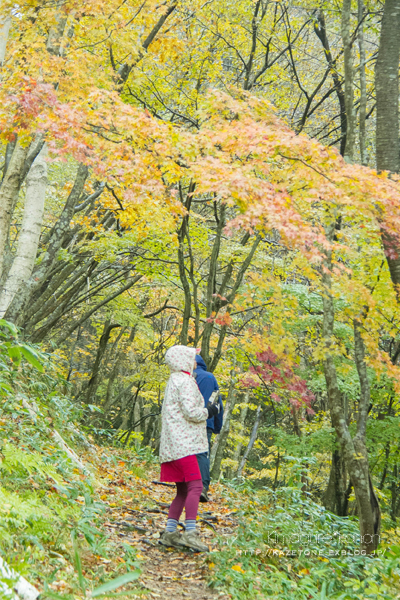 Rainy*walk②**美しき雨の恋林_b0197639_06133374.jpg