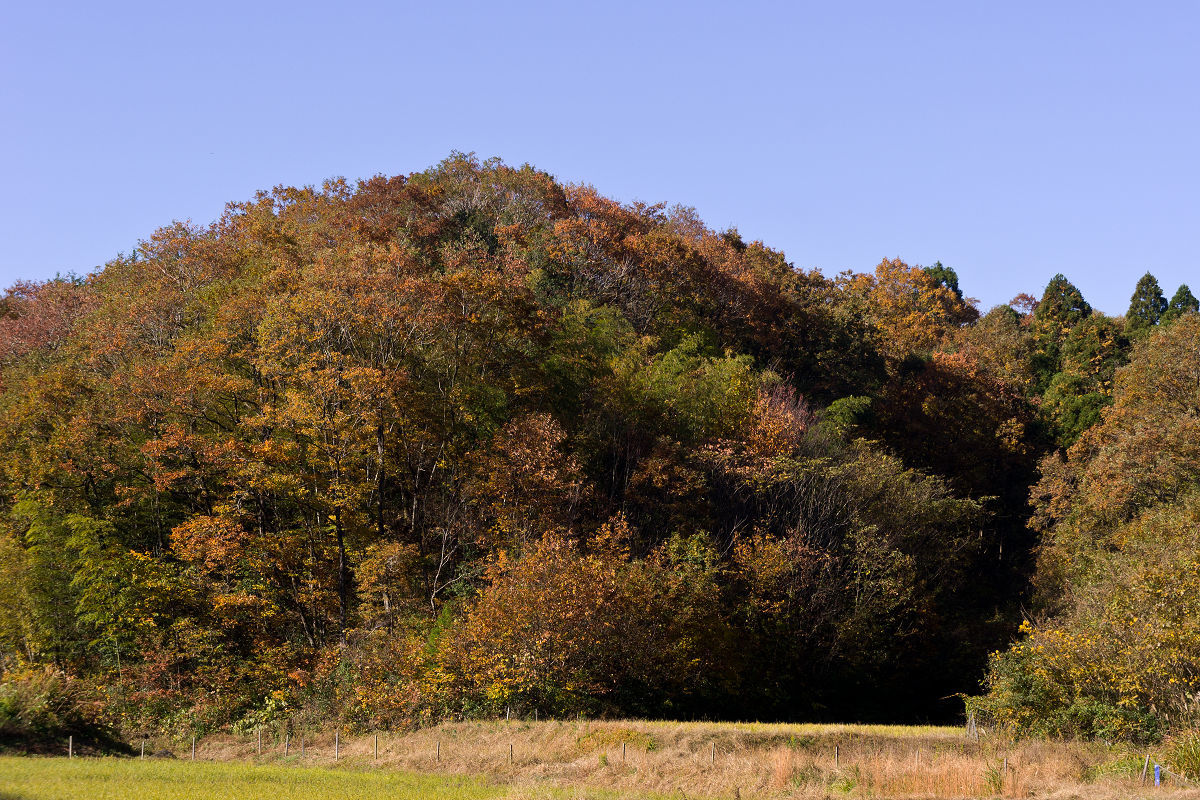 f0377241_06063840.jpg