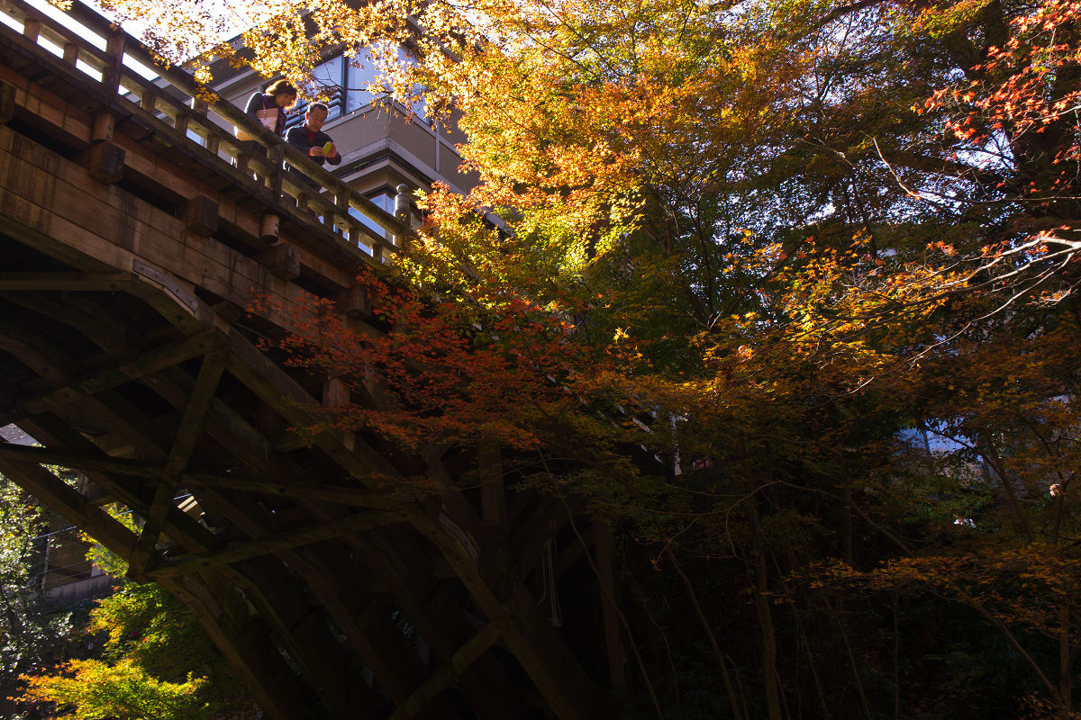 f0377241_07482097.jpg