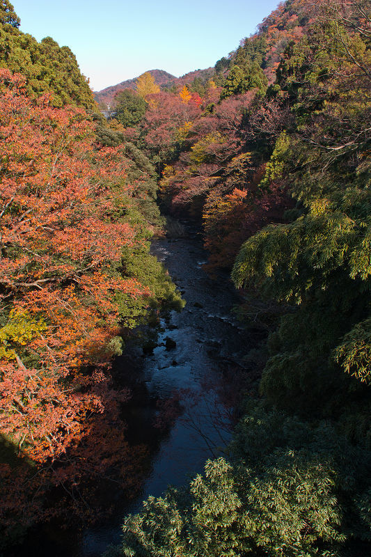 f0377241_07483955.jpg