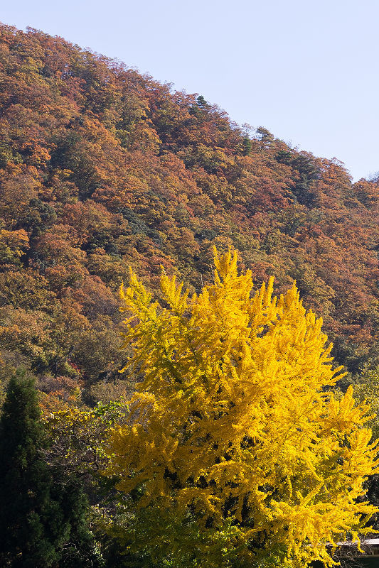 f0377241_07484542.jpg