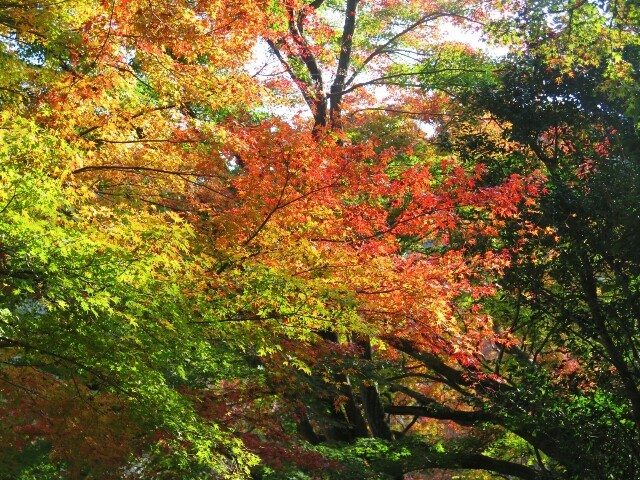 c0292342_11065309.jpg
