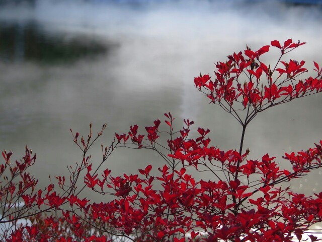 c0292342_11073739.jpg