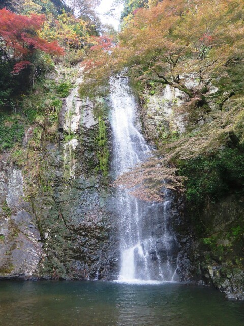 c0292342_11184156.jpg