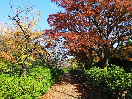 c0292342_13512239.jpg