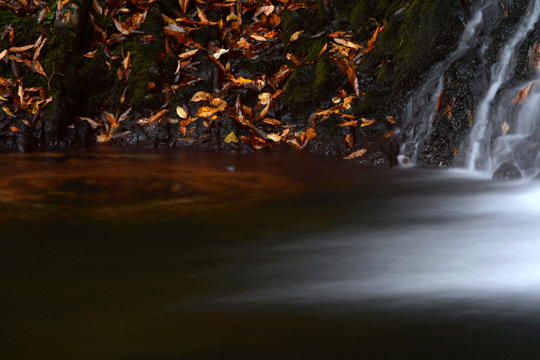 c0093046_8193958.gif