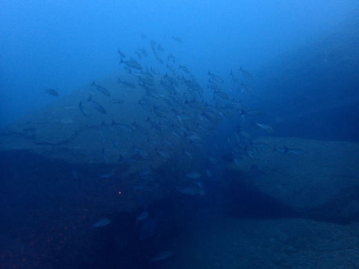b0236647_1435950.jpg
