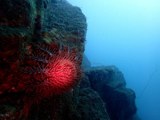 b0236647_1454029.jpg