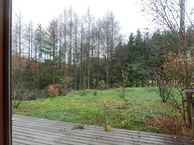 f0019247_9423610.jpg