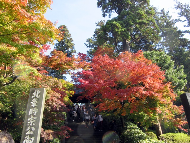 【北鎌倉・円覚寺の紅葉】_b0009849_175964.jpg