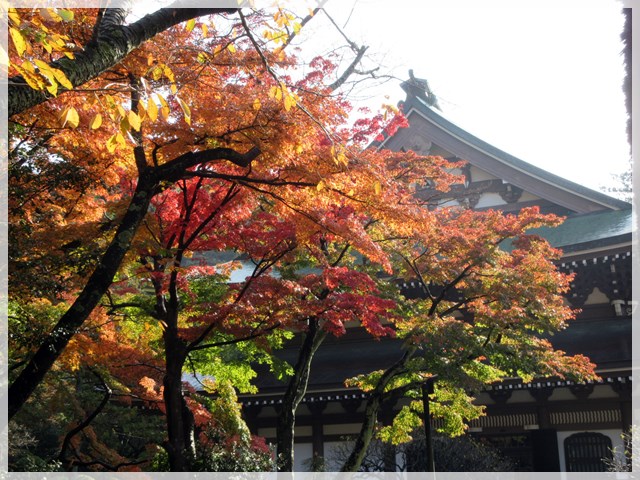 b0009849_1804618.jpg