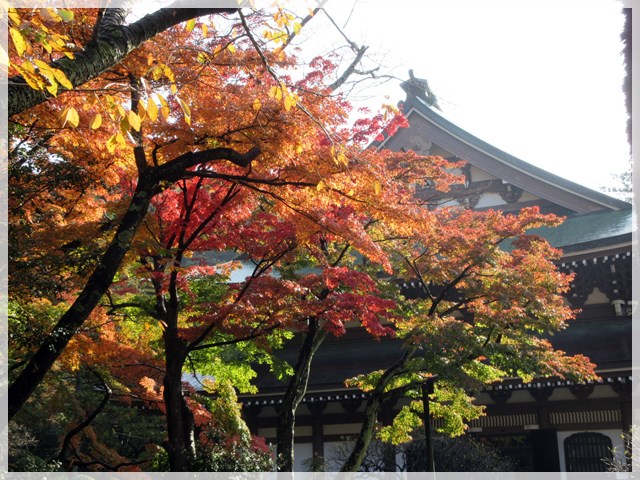 【北鎌倉・円覚寺の紅葉】_b0009849_1804618.jpg