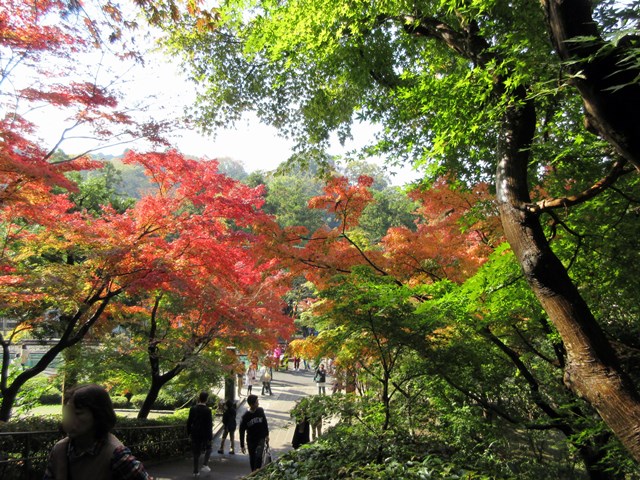 b0009849_1810639.jpg