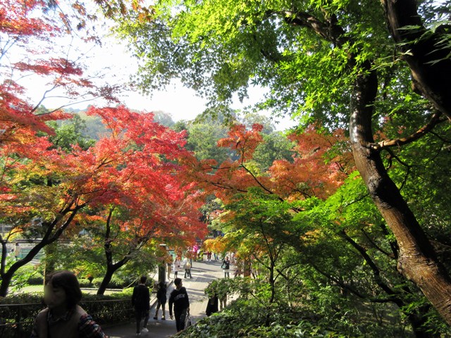 【北鎌倉・円覚寺の紅葉】_b0009849_1810639.jpg