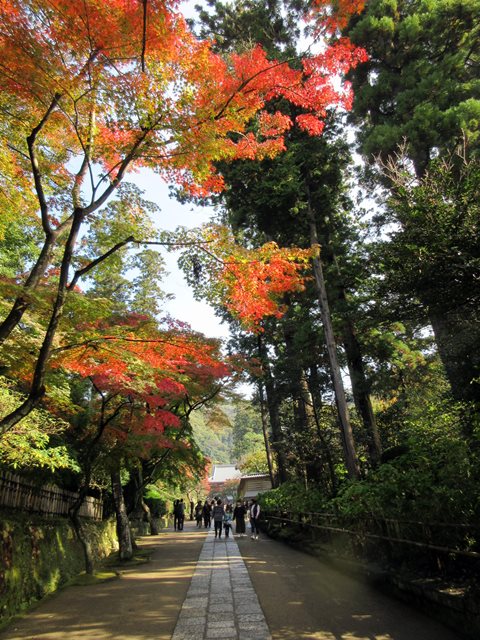 【北鎌倉・円覚寺の紅葉】_b0009849_1813473.jpg