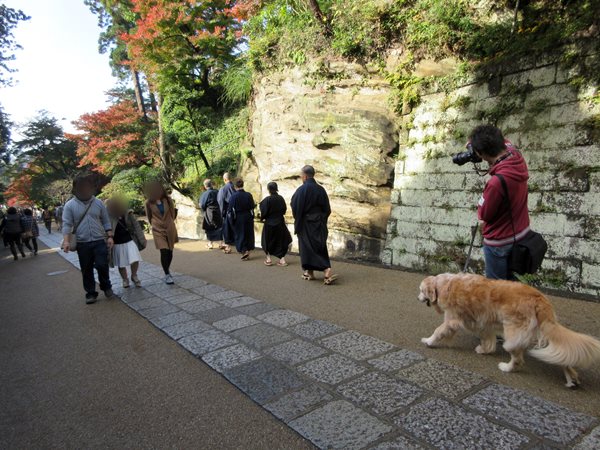 【北鎌倉・円覚寺の紅葉】_b0009849_18322.jpg